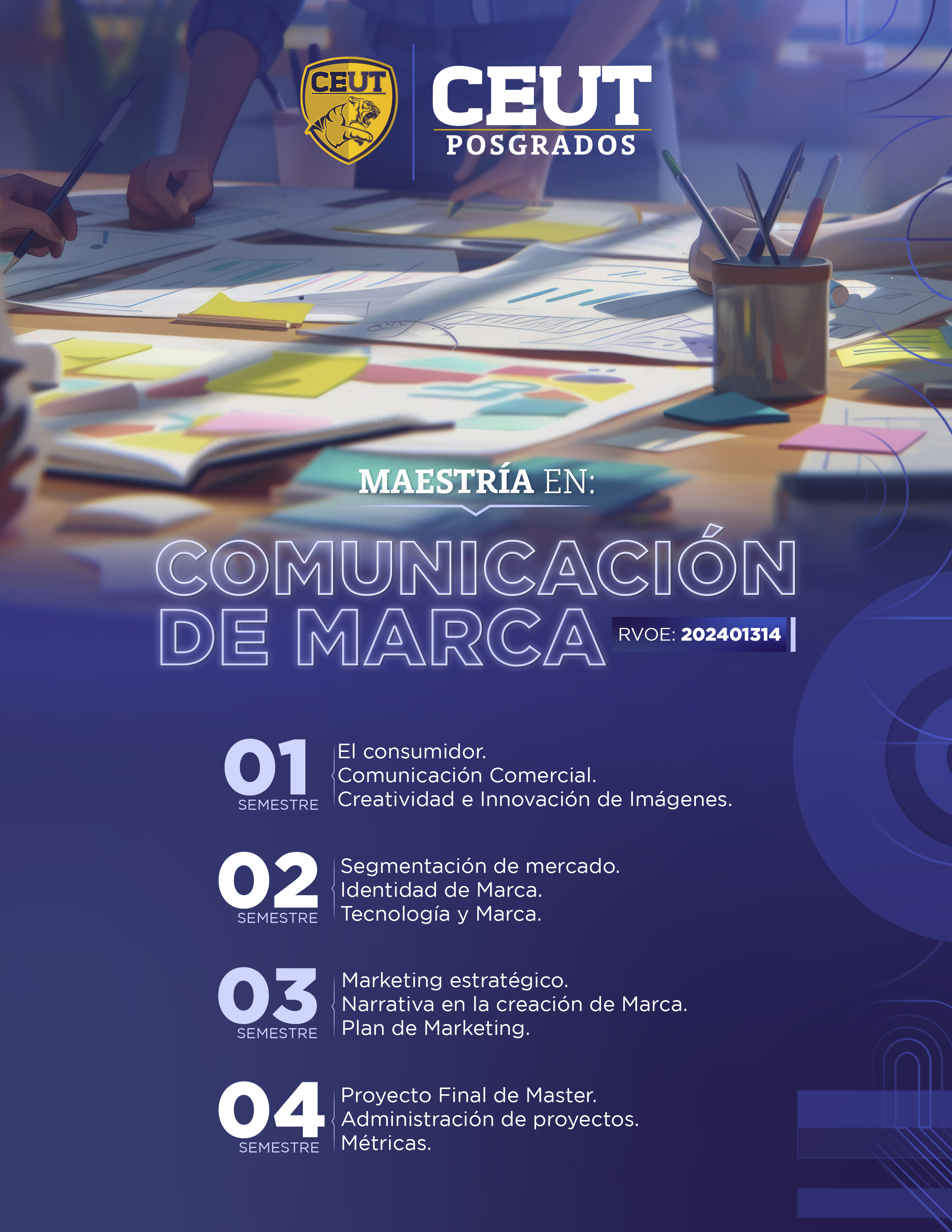 Plan de Estudios